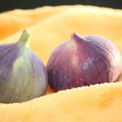 Fruits – Früchte 2012 Feigen