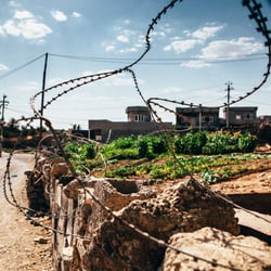 barbwire