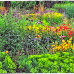 Hommage an Claude Monet