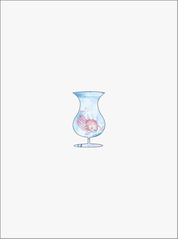 Miniaquarium / Vignette
