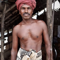 Stelzenfischer, Sri Lanka