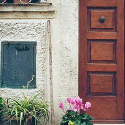 FLOWER – 35mm ANALOG SHOT
