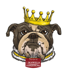 MY DOG IS MY KING!