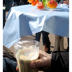 Fotografie > elbetulpen