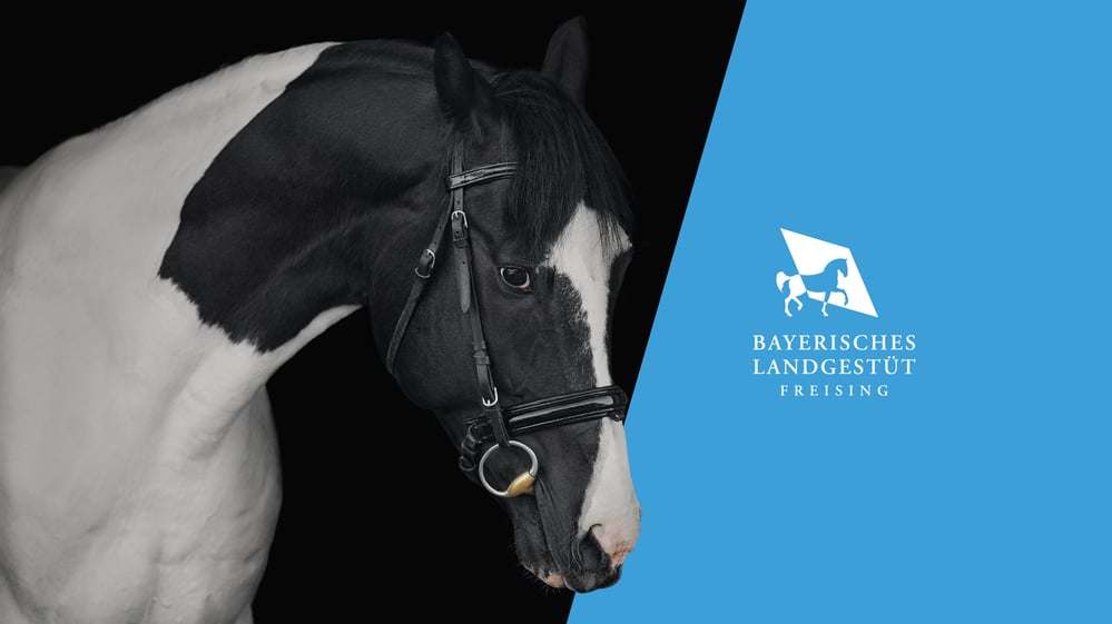 Landgestüt Freising – Corporate Design