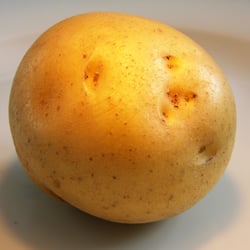 Nahaufnahme