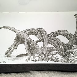 Wurzeln