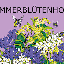 H Sommerblütenhonig 500g Kopie
