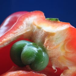 Food Photography 2012 Rezepte Paprika 01
