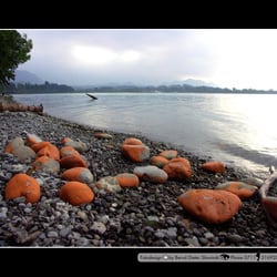 Schwangau-Forggensee