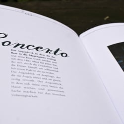 Text zu Portraits von Konzertbesuchern