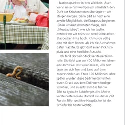 Zwei Blumen unterwegs
