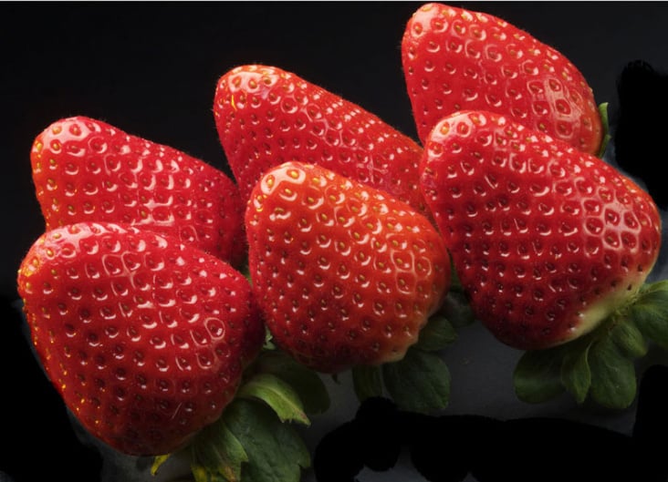 Erdbeeren