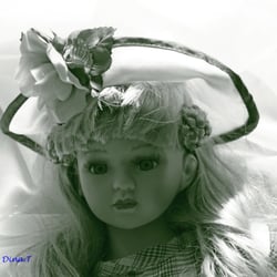 DOLLS  – AUG. 2014