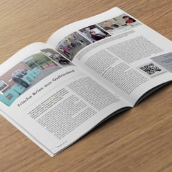 Artikel doppelseitig – C.ebra