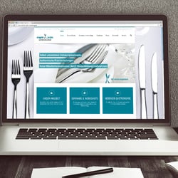 01 Referenz-Webdesign02-1