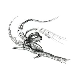 Metamorphose