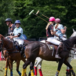 polo bs kl 19