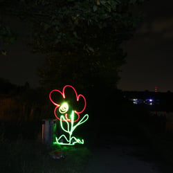Blume aus dem Müll