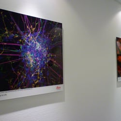 Leica Demo Center