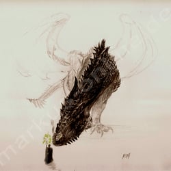 Schwarzer Drache