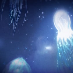 Screen 2: Quallen