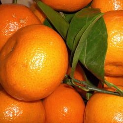Food Orange