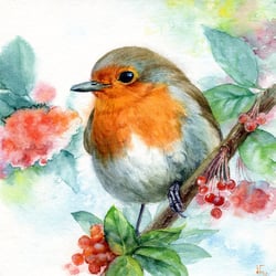 Rotkehlchen in Aquarell