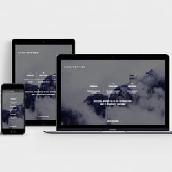 Agentur HALMA Leistungen Digital: Schutzwerk