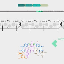 Vancomycin Screenshot #4