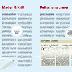 Kleine Helfer, Illustration und Layout für healthy living