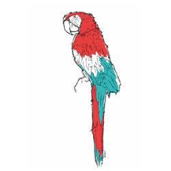 Parrot