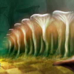 Mushroom Forest