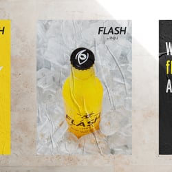 FLASH poster