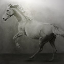 pferd Auftragsarbeit A3