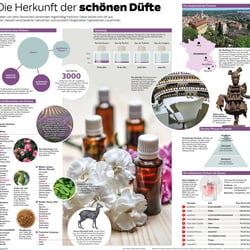 Eineinhalbseitige Grafik zum Thema Parfum