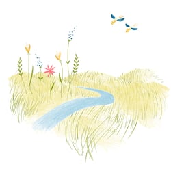 Bienen