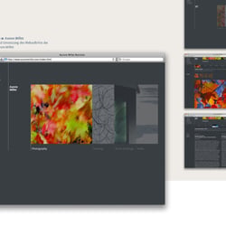 Website für Künstler Aurore Millet
