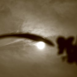Licht und Schatten by Dina.T 2013