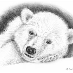 Pencil Drawing