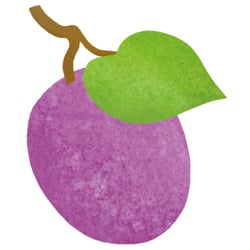 Organicator Illus