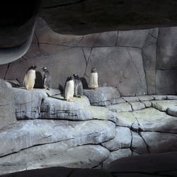 Eismeer Hagenbeck-Hamburg