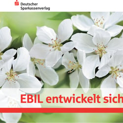 Diverse Konzeptionen