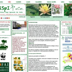 info