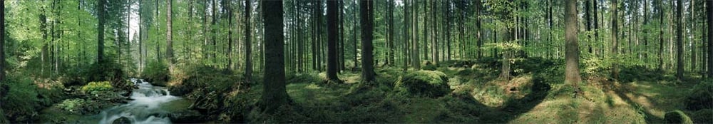 Interieur-Panorama