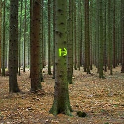 Bild1L