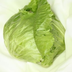 Eisbergsalat Nov. 2012