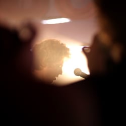 Fotografie/Band ll dreht Video