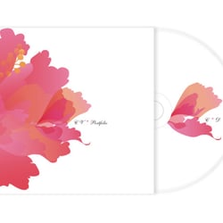 CD- Detail