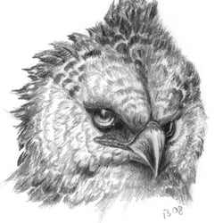 harpye
